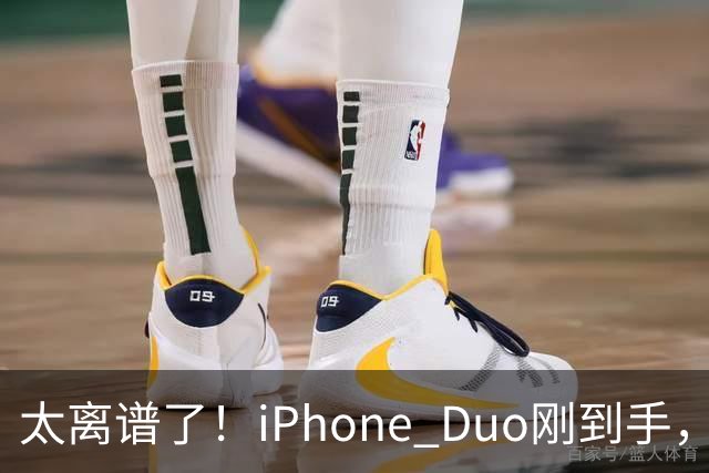 太离谱了！iPhone Duo刚到手，就突然翻车