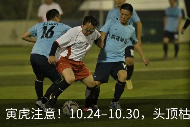 寅虎注意！10.24–10.30，头顶枯藤将断，有贵人伸手拉你一把