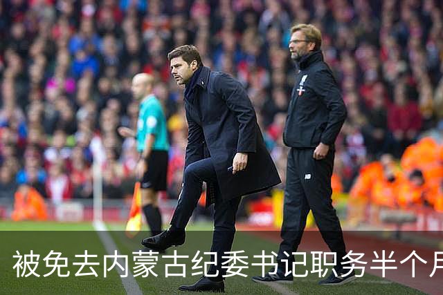 被免去内蒙古纪委书记职务半个月后，刘爽有了新消息