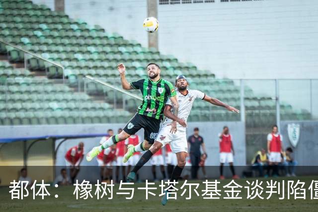 都体：橡树与卡塔尔基金谈判陷僵局，国米少数股权估值分歧显著