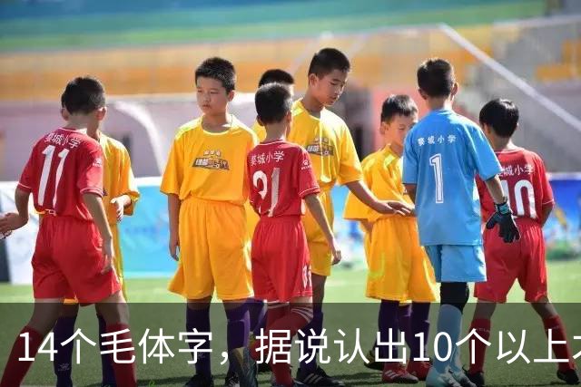14个毛体字，据说认出10个以上才算及格，你能认出几个？怎样才能快速成为鉴赏草书的高手呢